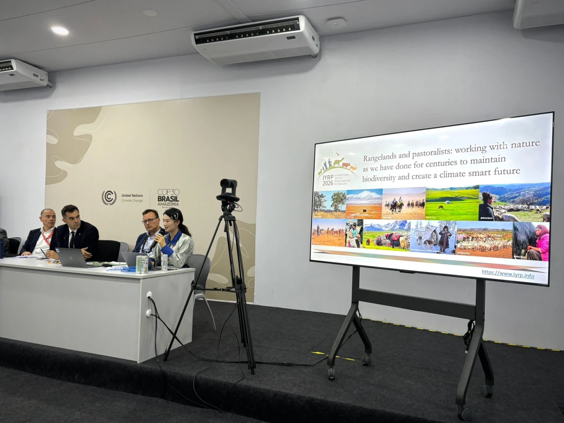 IYRP-at-UNFCCC-COP30