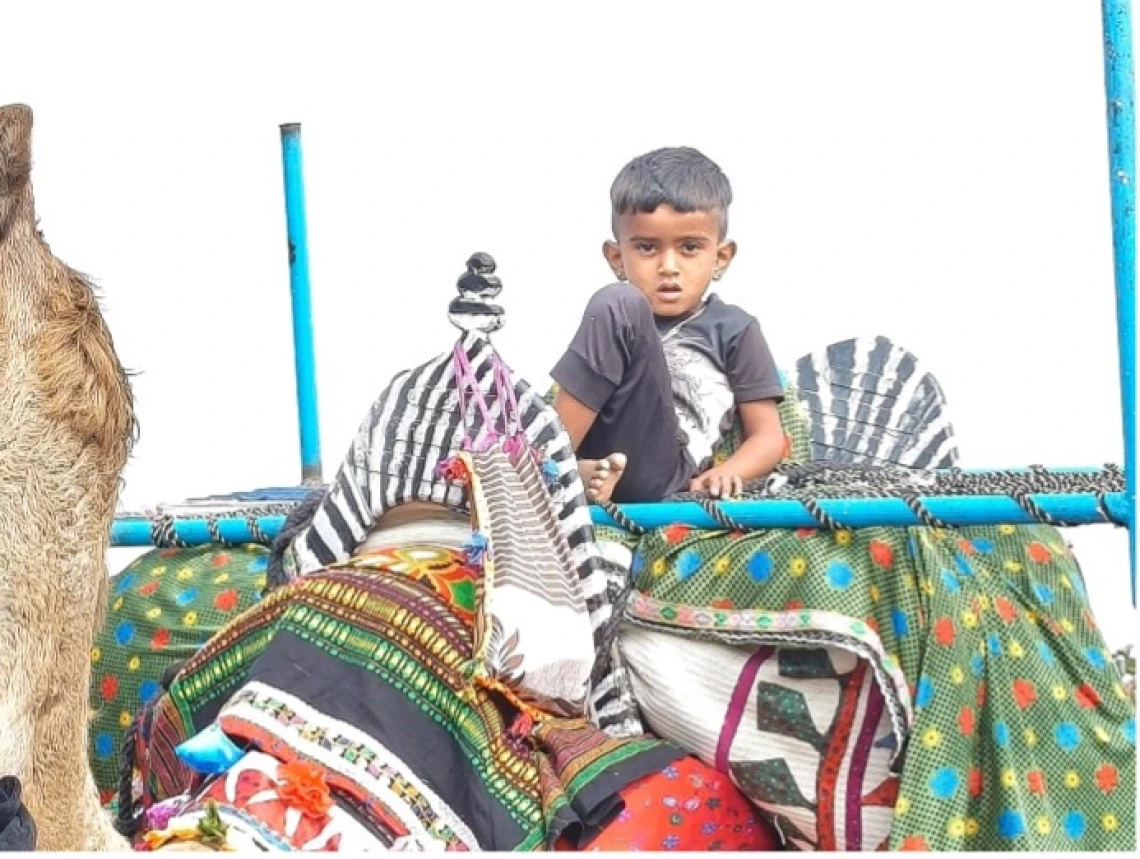 Declaration Presentation and Acknowledgement  