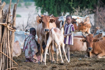 Arbore boy im camp