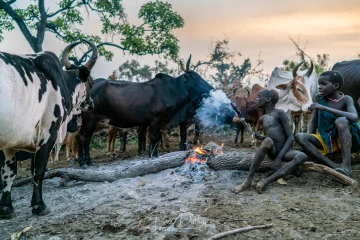 Kibish cattle camp