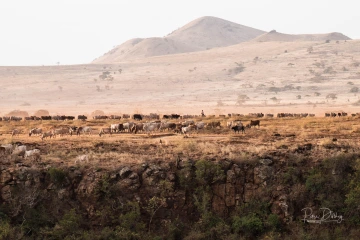 Hurri hills