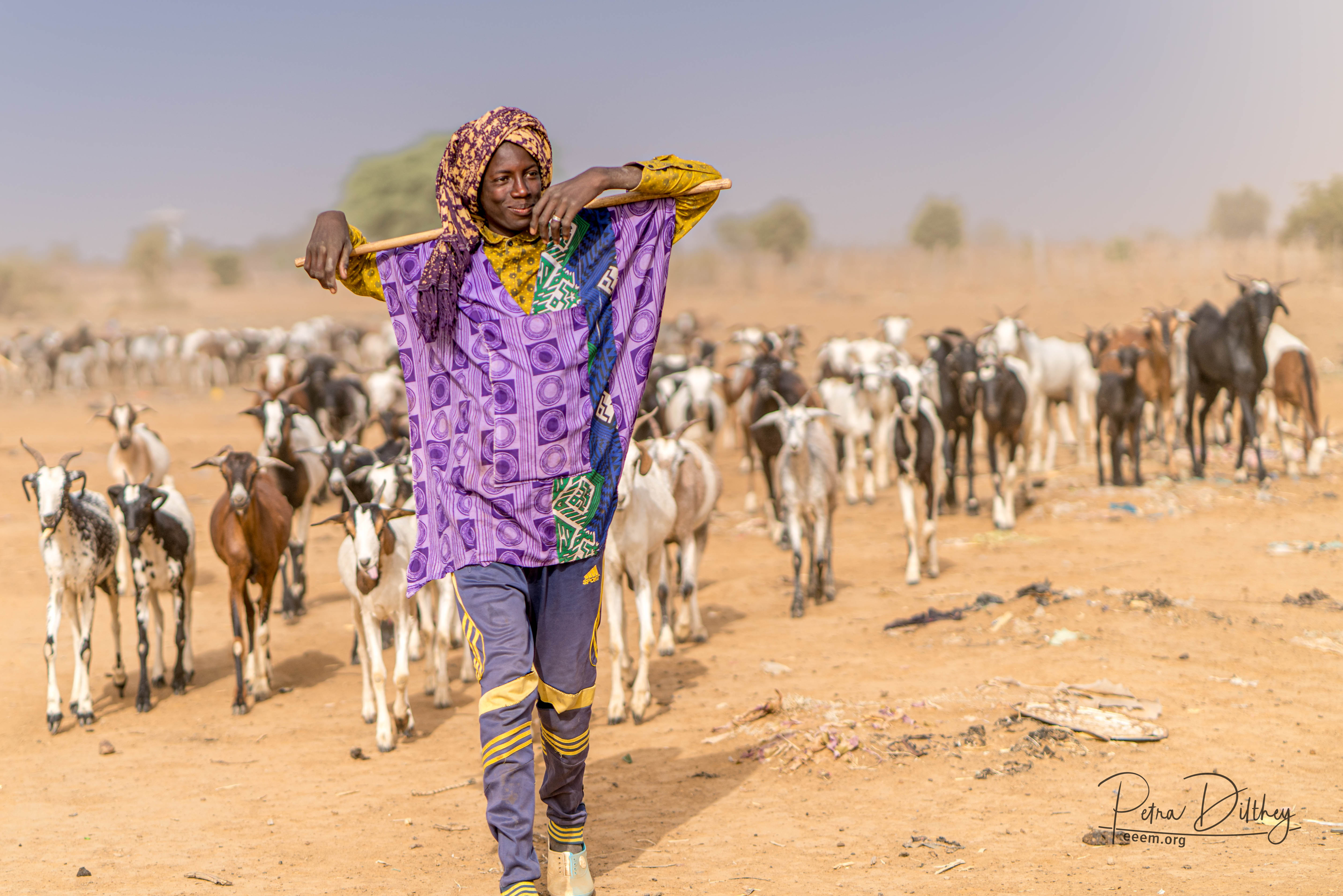 Peul herder in Senegal