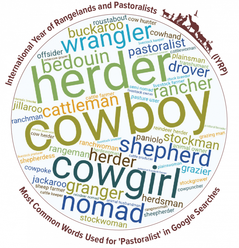 who are pastoralists wordcloud