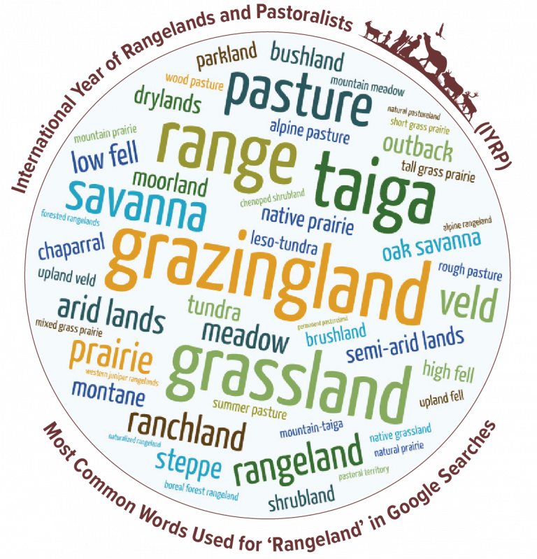What are rangelands wordcloud