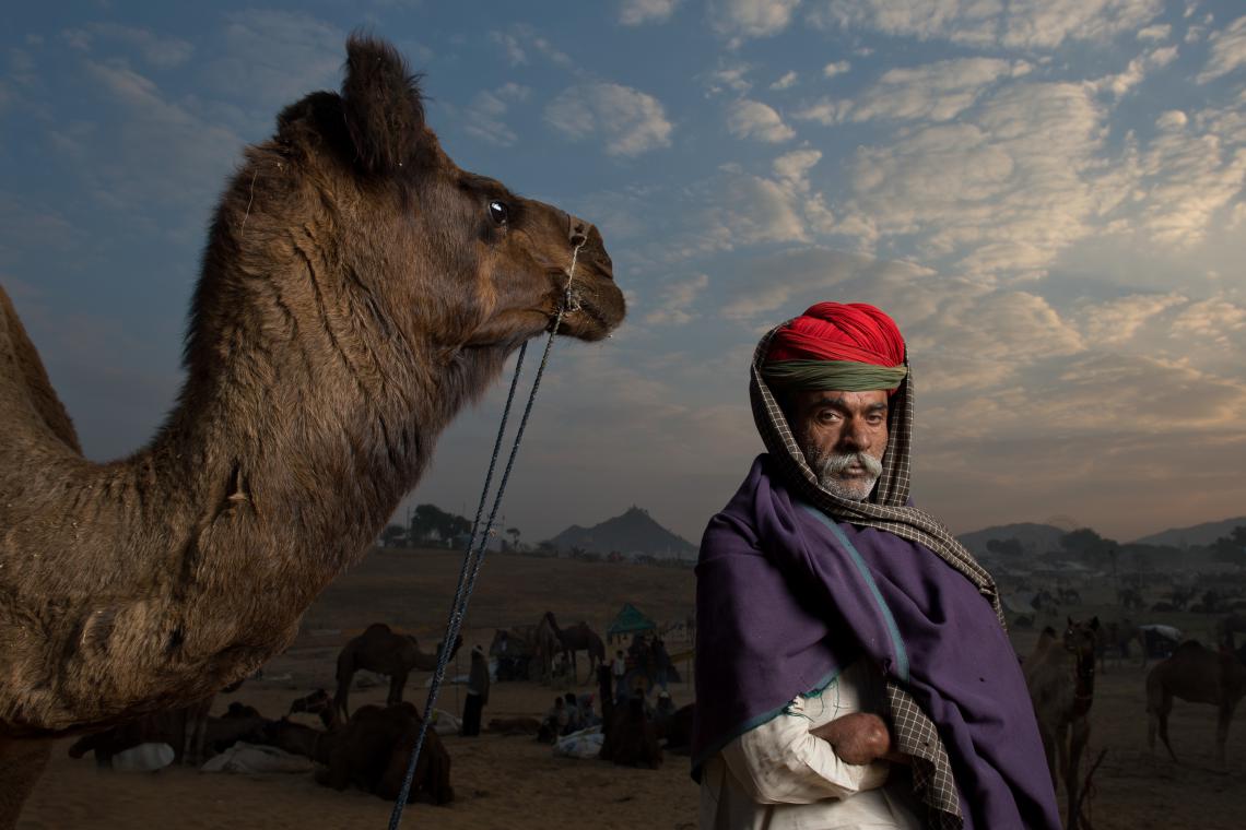 Indian herder at dusk