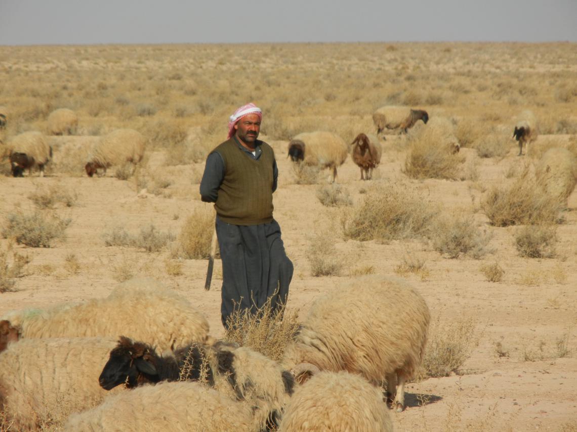 Syrian pastoralist